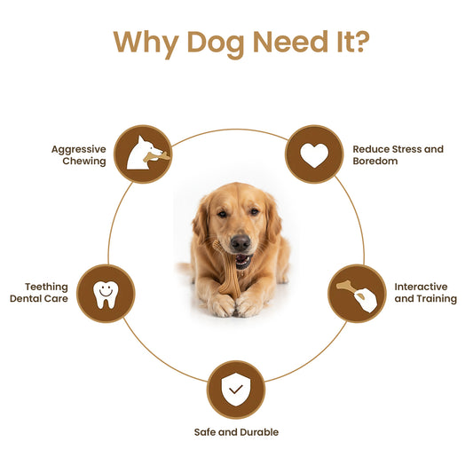 Durable Natural Rubber Dog Chew Bone Toy