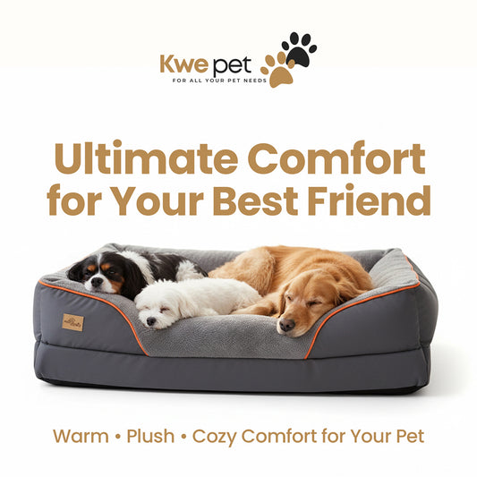 Orthopedic Dog Bed – Memory Foam for Joint Relief